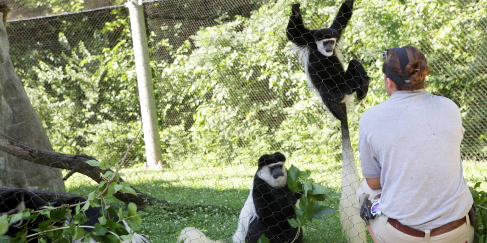 Cool Job: Laura Riggins, Zookeeper